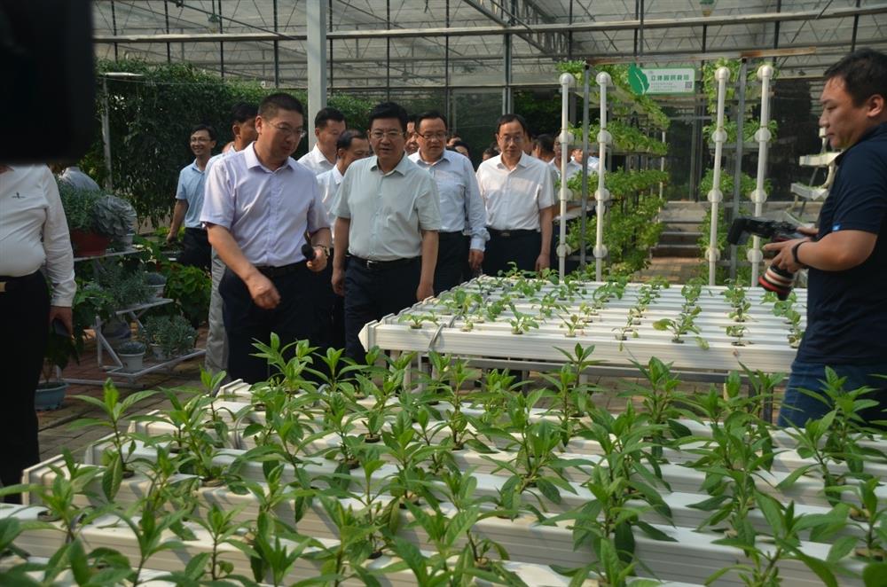 科技助農(nóng)，播撒光的種子  精準扶貧，助力鄉(xiāng)村振興