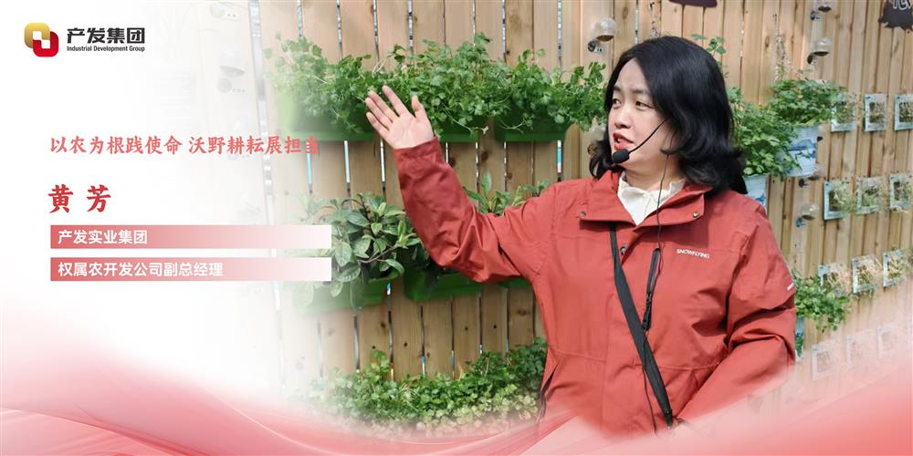 巾幗綻芳華 | 產(chǎn)發(fā)實(shí)業(yè)集團(tuán)權(quán)屬農(nóng)開發(fā)公司 黃芳：以農(nóng)為根踐使命，沃野耕耘展擔(dān)當(dāng)